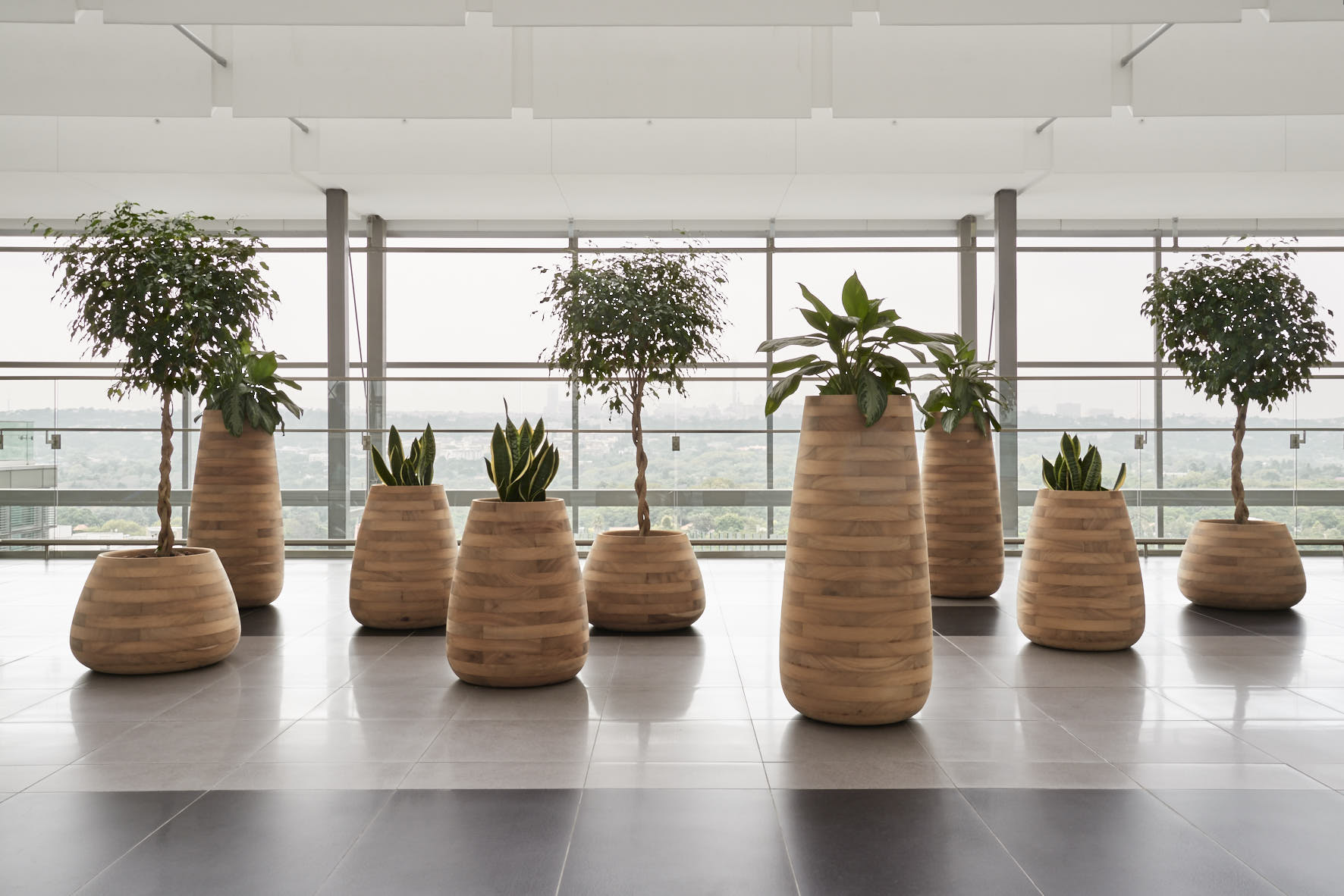 Sources Unlimited Unveils the Tuber Collection of Planters by Indigenus